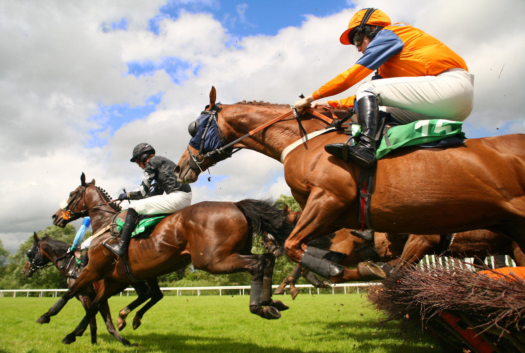 grand national horse race 0013