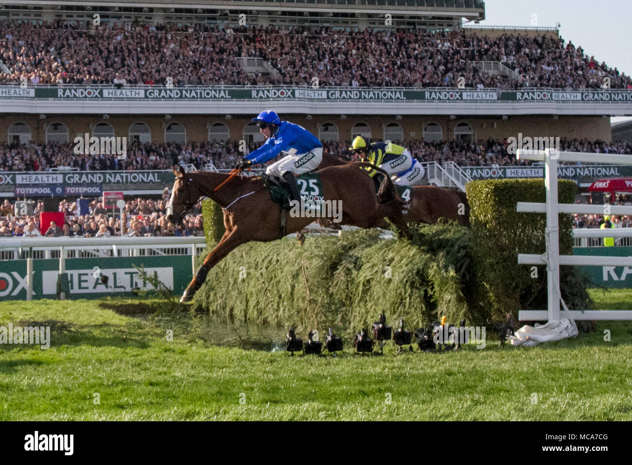 grand national horse race 0016