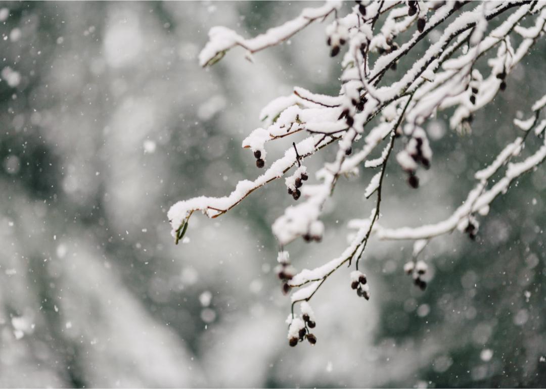 green bay snowfall 0033