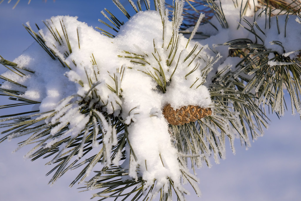 green bay snowfall 0041