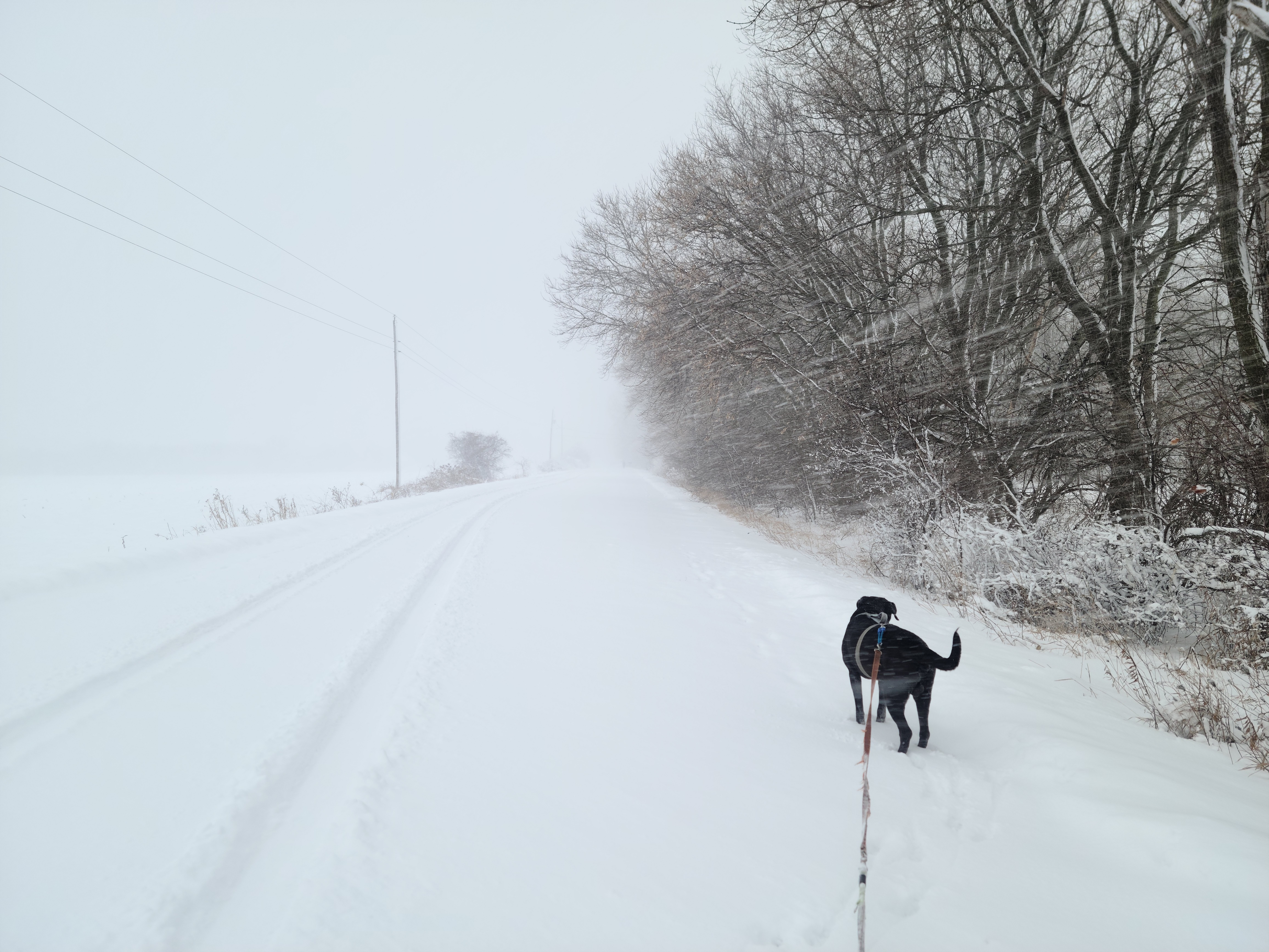 green bay snowfall 0044
