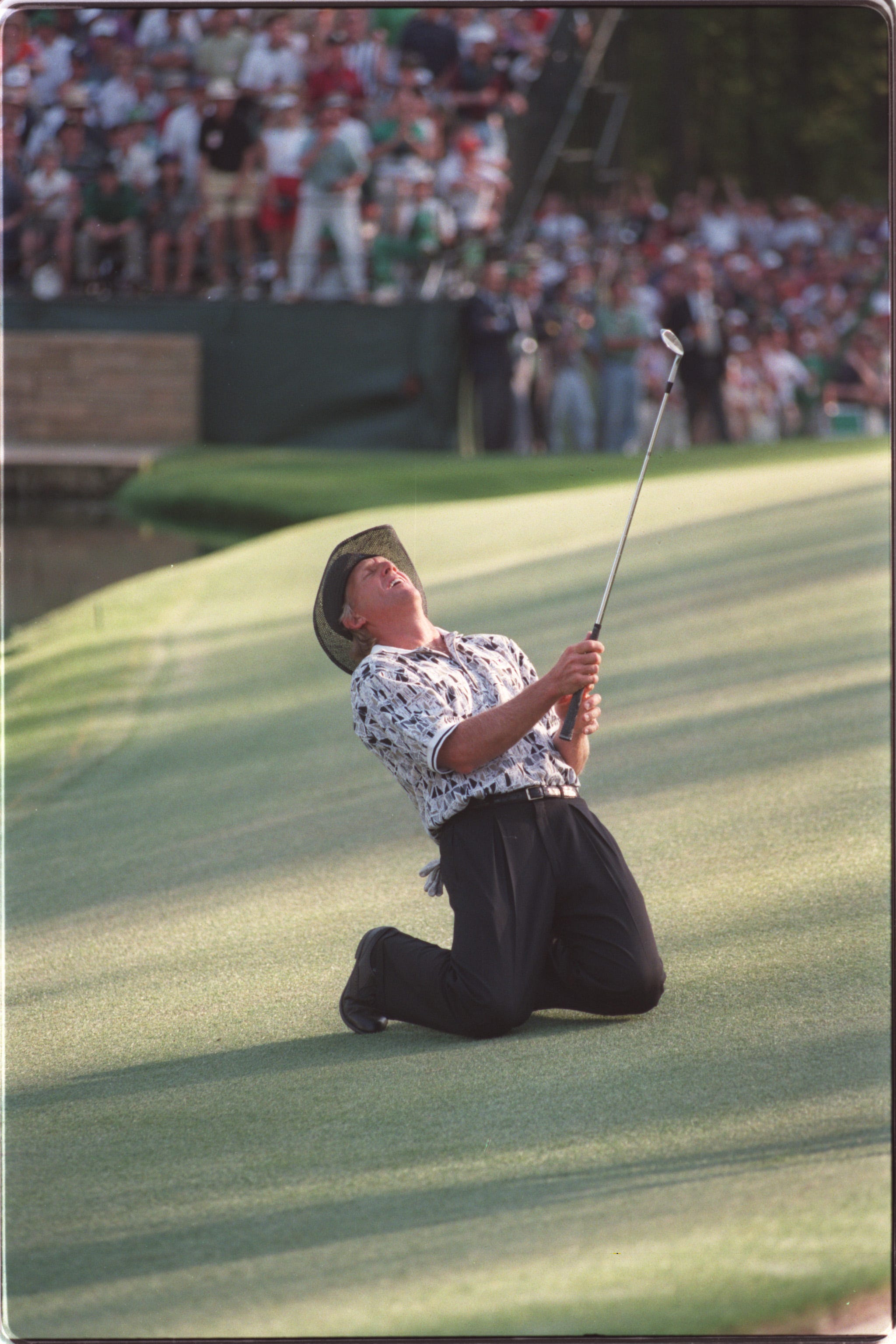 greg norman meme 0016