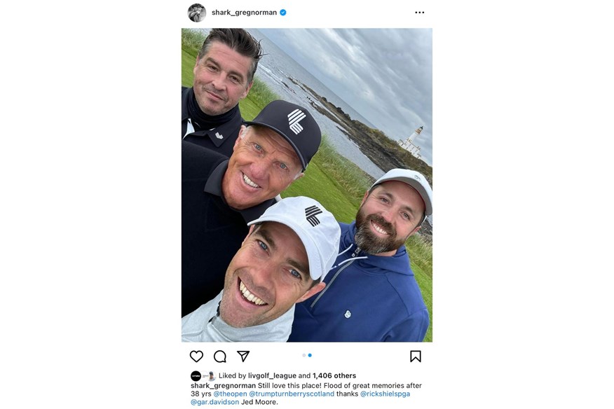 greg norman meme 0033