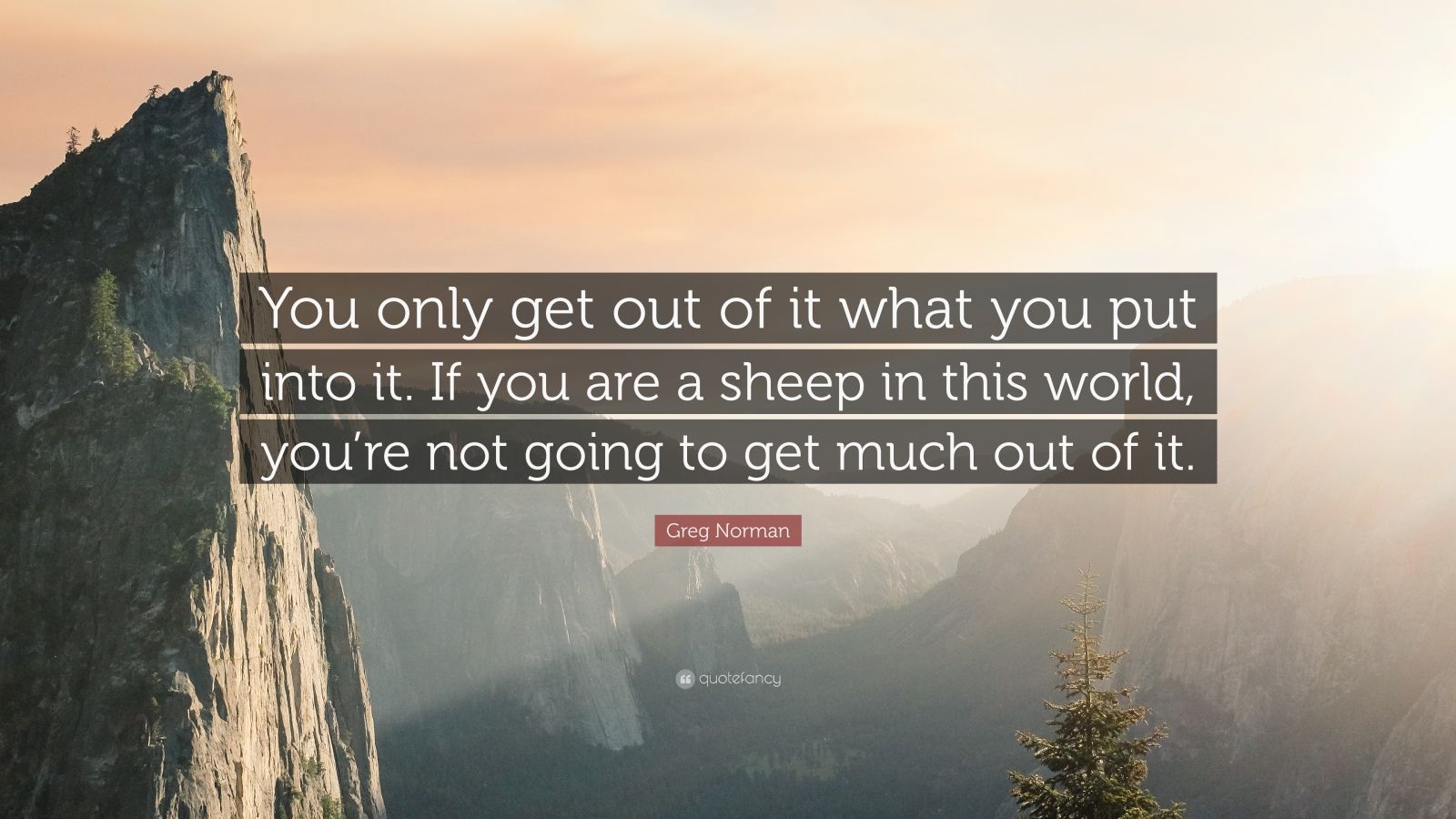 greg norman meme 0036