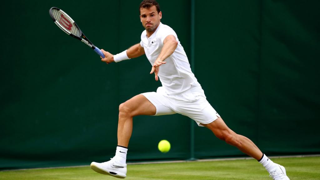 Grigor Dimitrov Wimbledon fan reactions