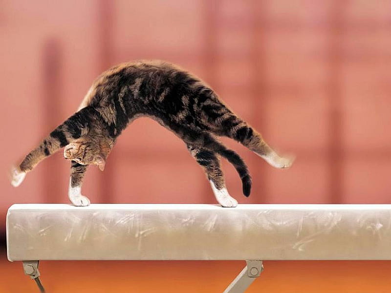 gymnastics pictures wallpapers 0012