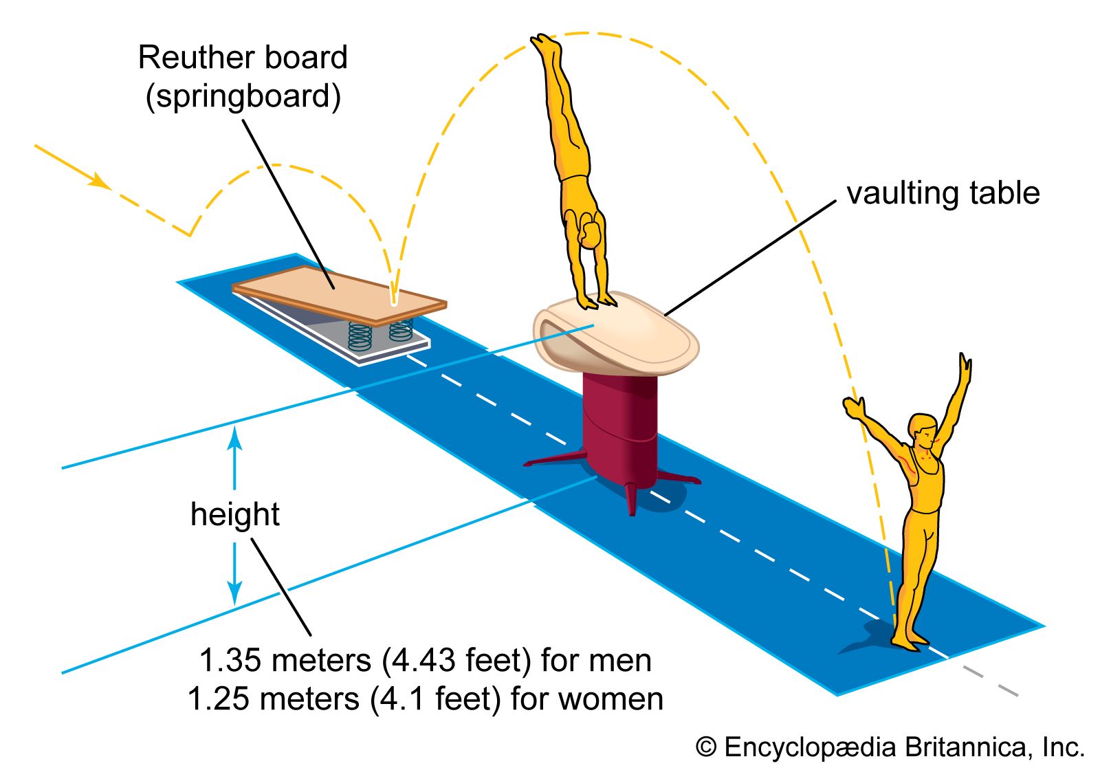 gymnastics vault landing