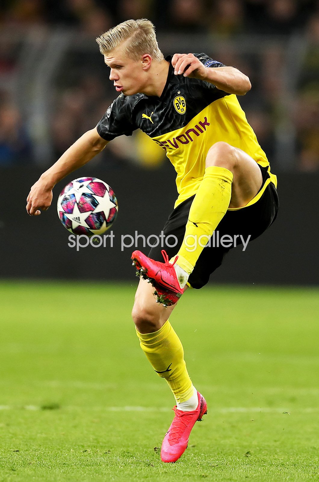 haaland psg 0033