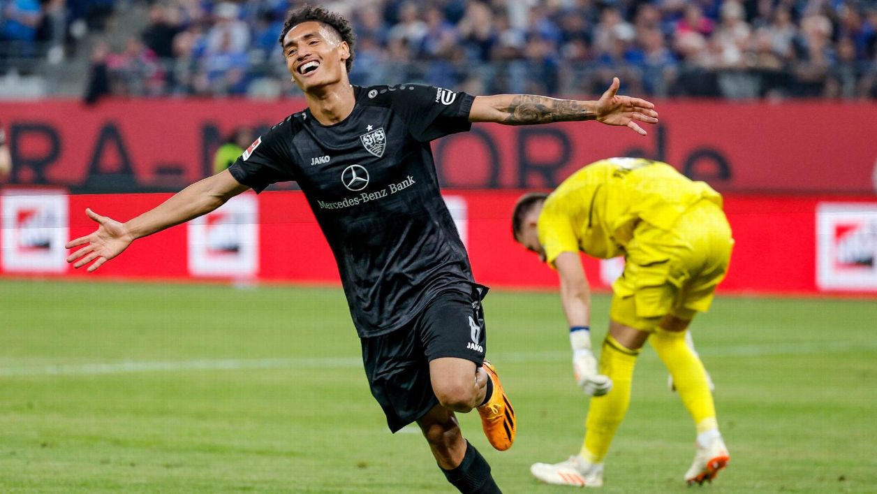 hamburger sv vs karlsruher 0020