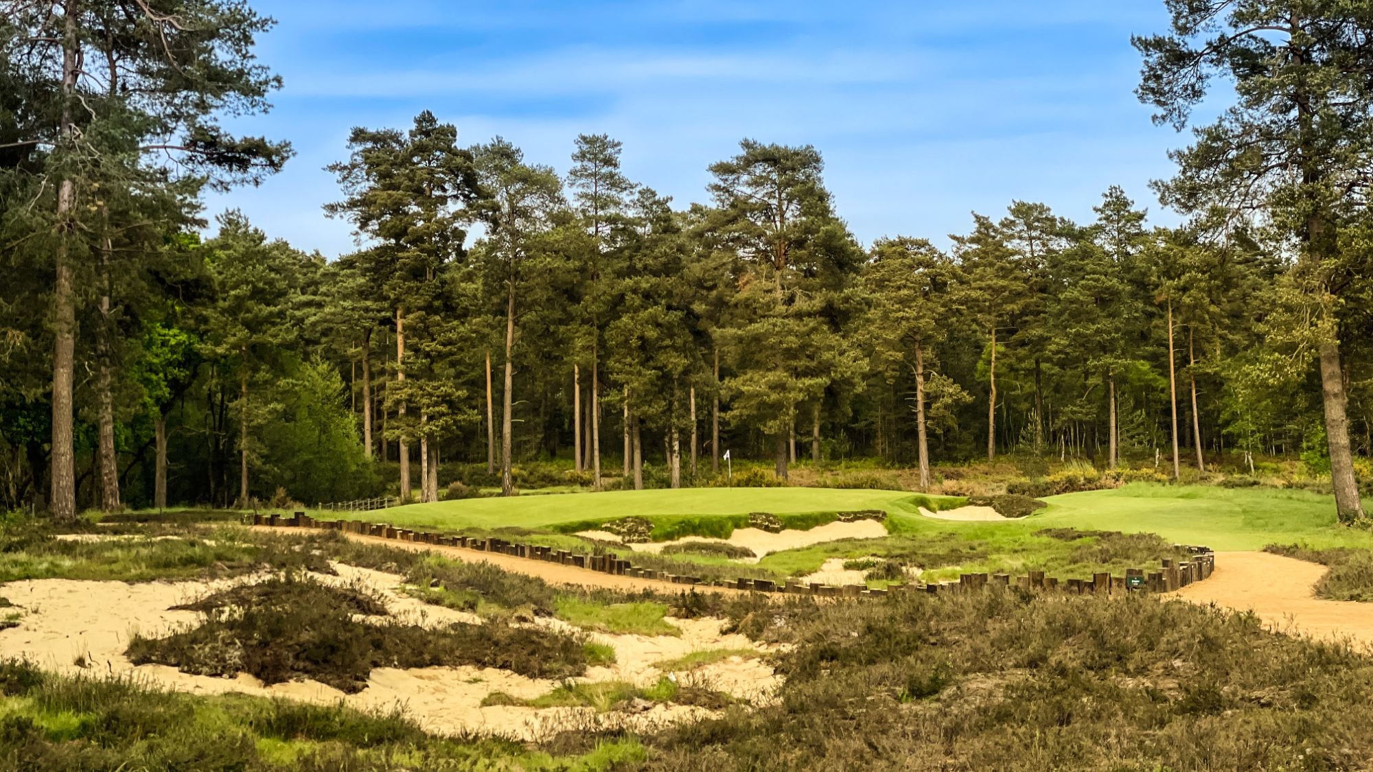 Hankley Common history