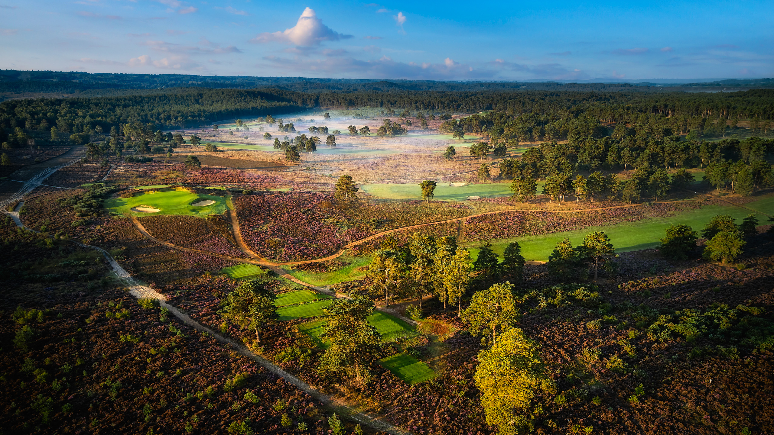 Hankley Common nature walks