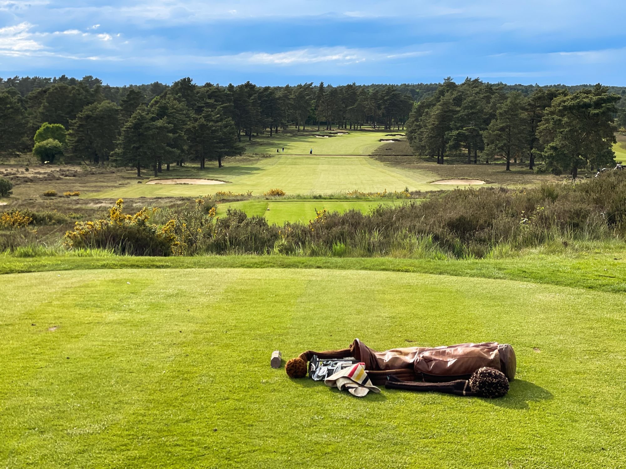 hankley common 0010