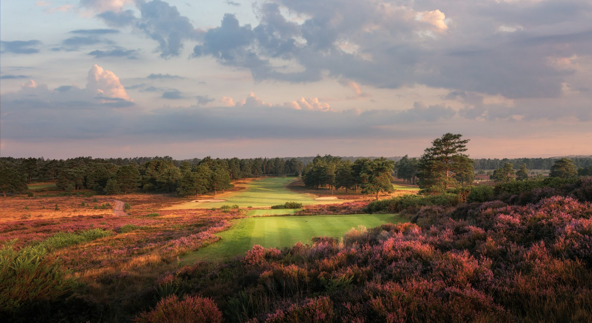 hankley common 0012