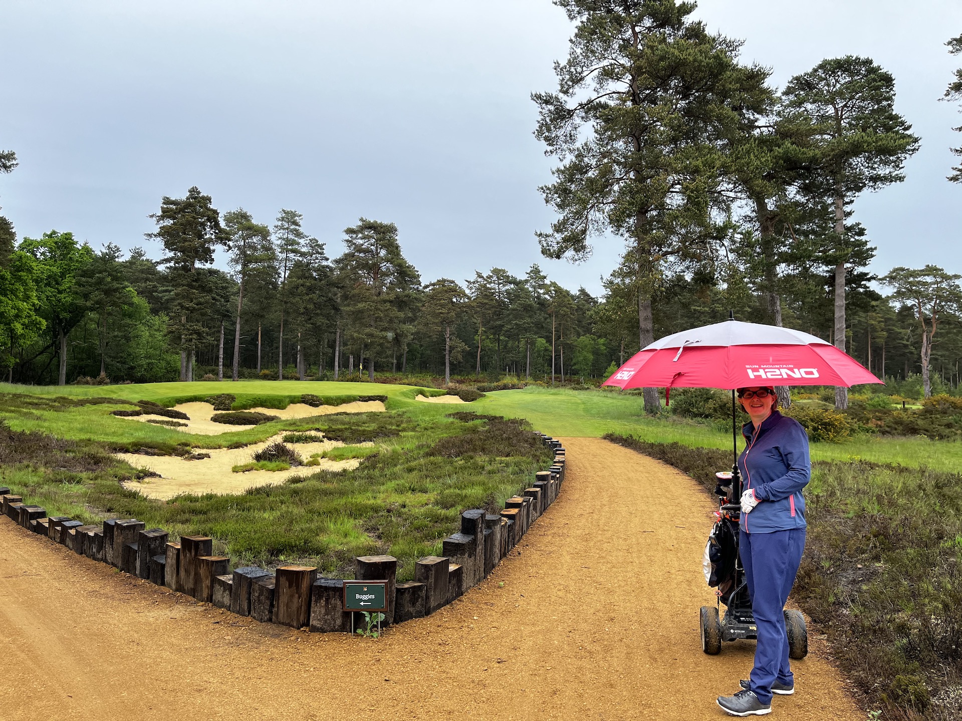 hankley common 0013