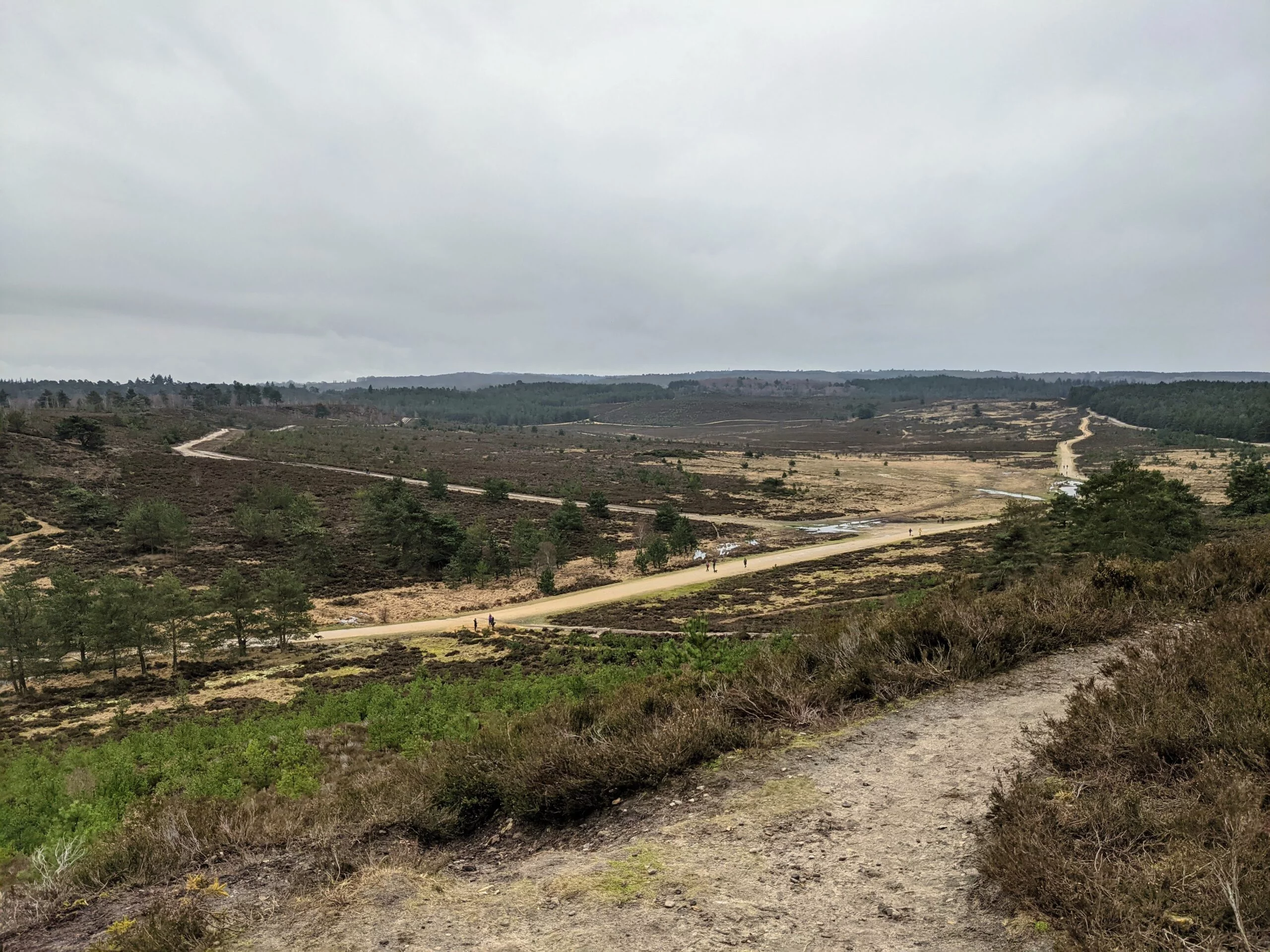 hankley common 0016