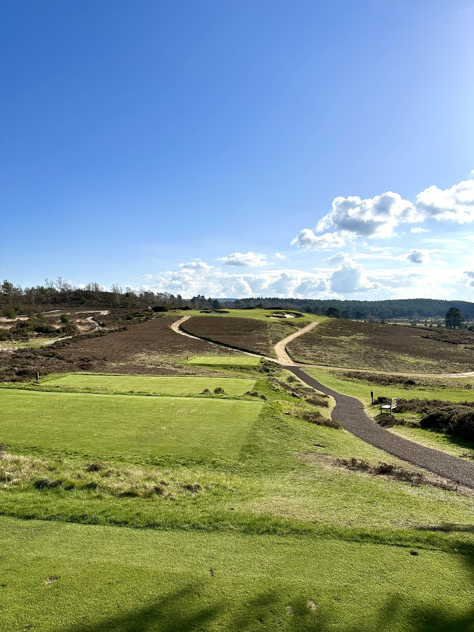 hankley common 0018