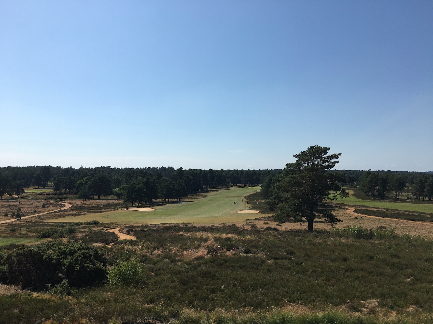 hankley common 0022