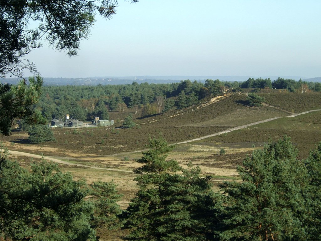 hankley common 0027