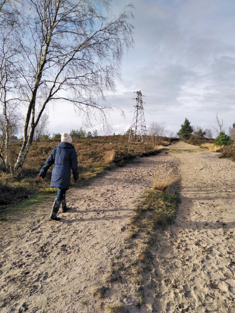 hankley common 0028