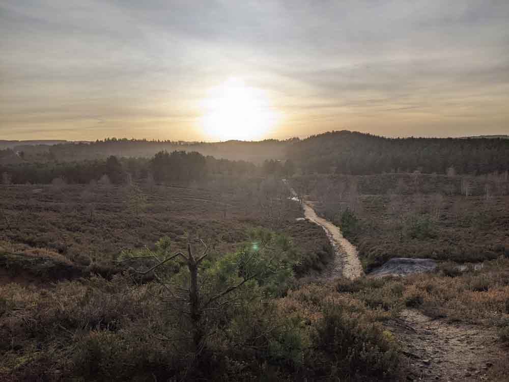 hankley common 0029