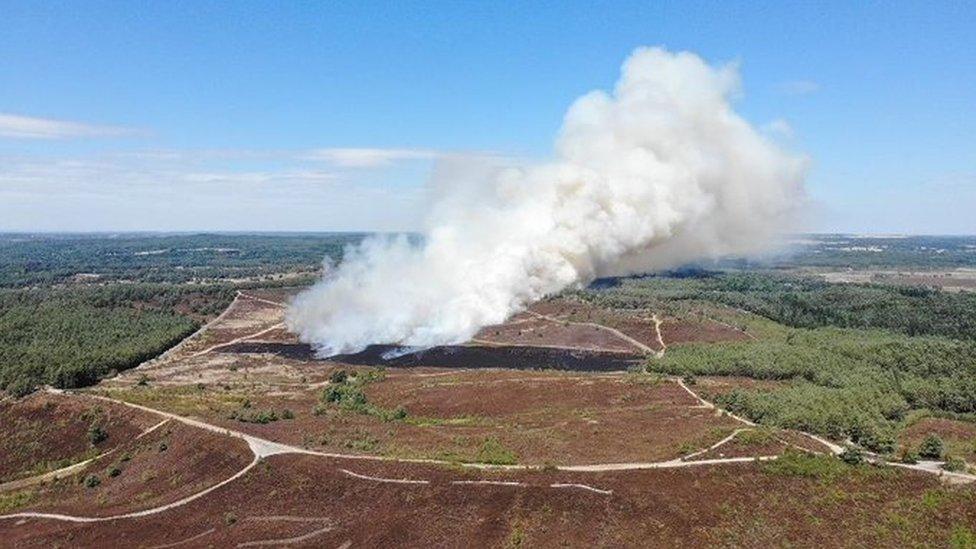 hankley common 0030