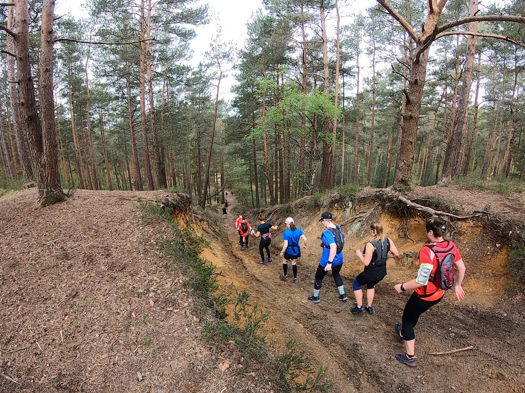 hankley common 0032