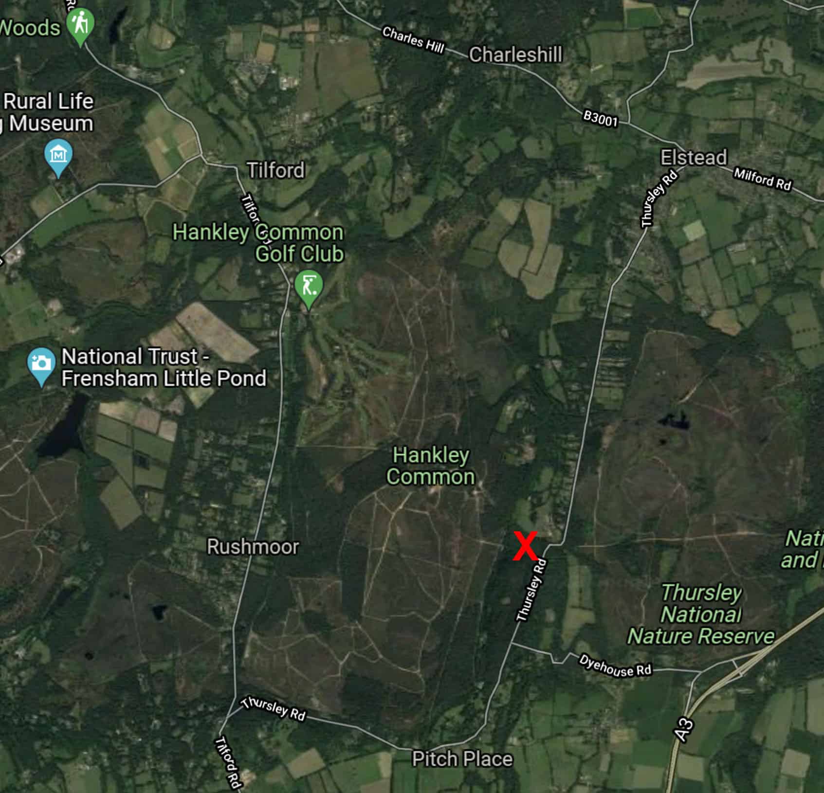 hankley common 0035