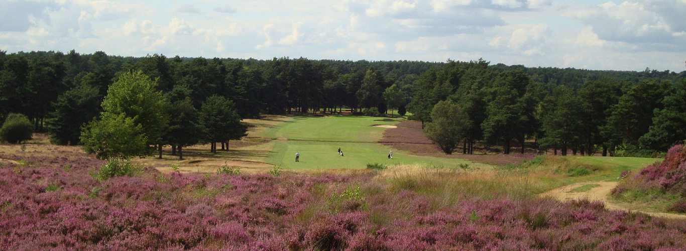 hankley common 0037