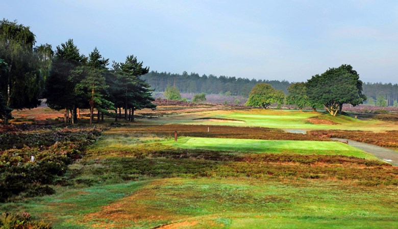 hankley common 0038