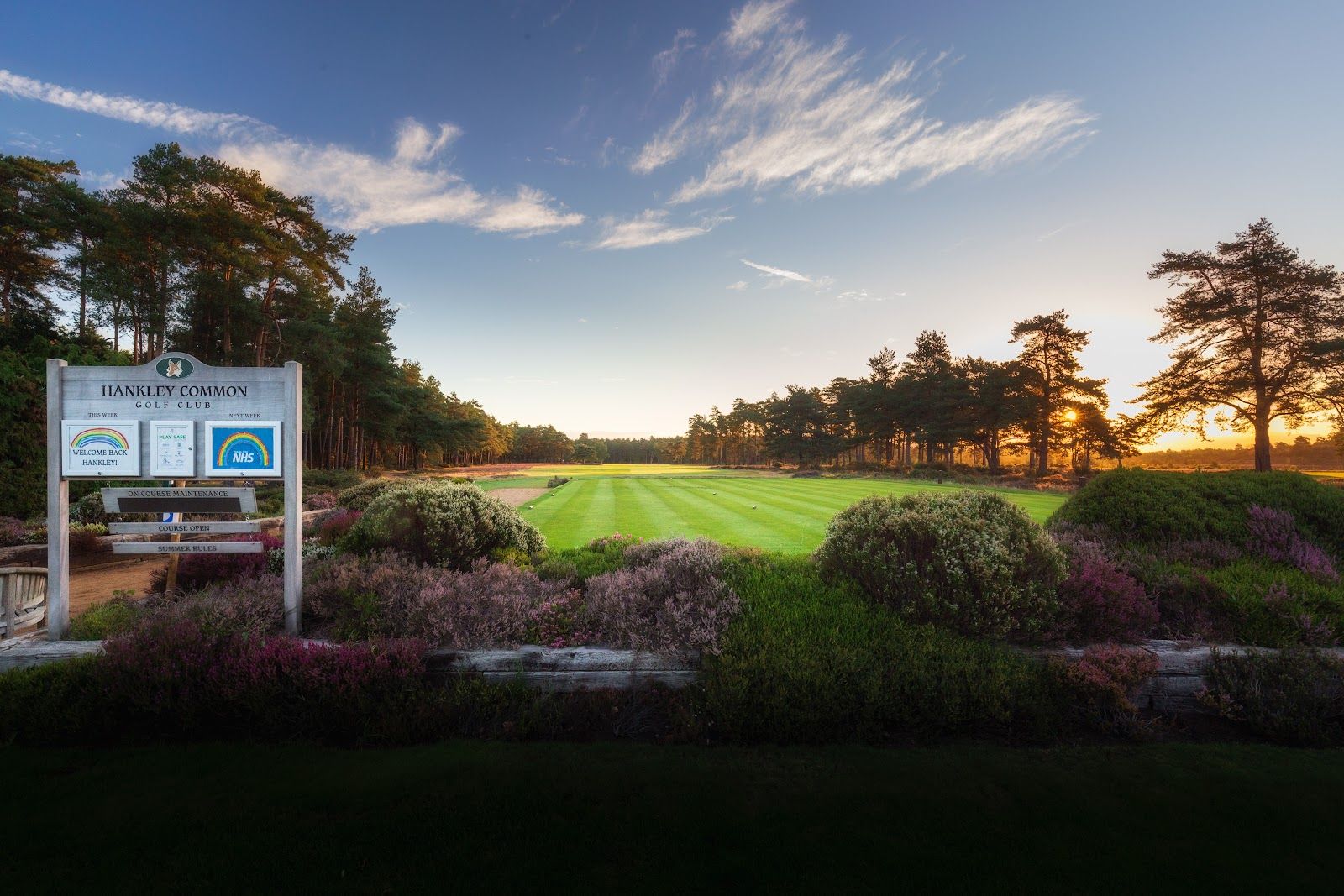 hankley common 0039