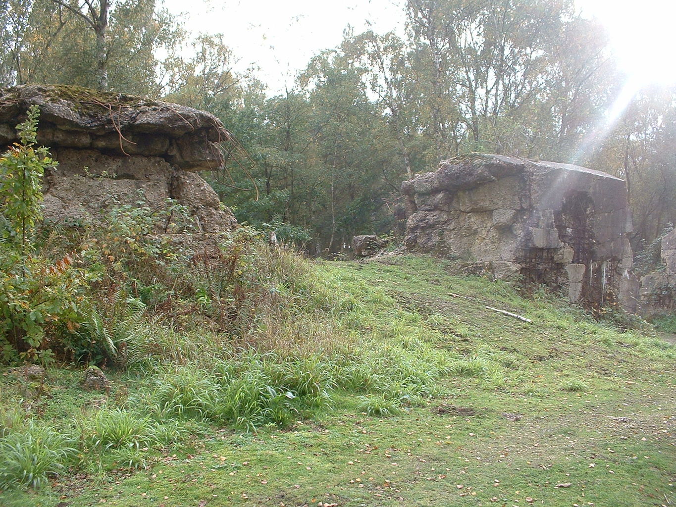 hankley common 0042