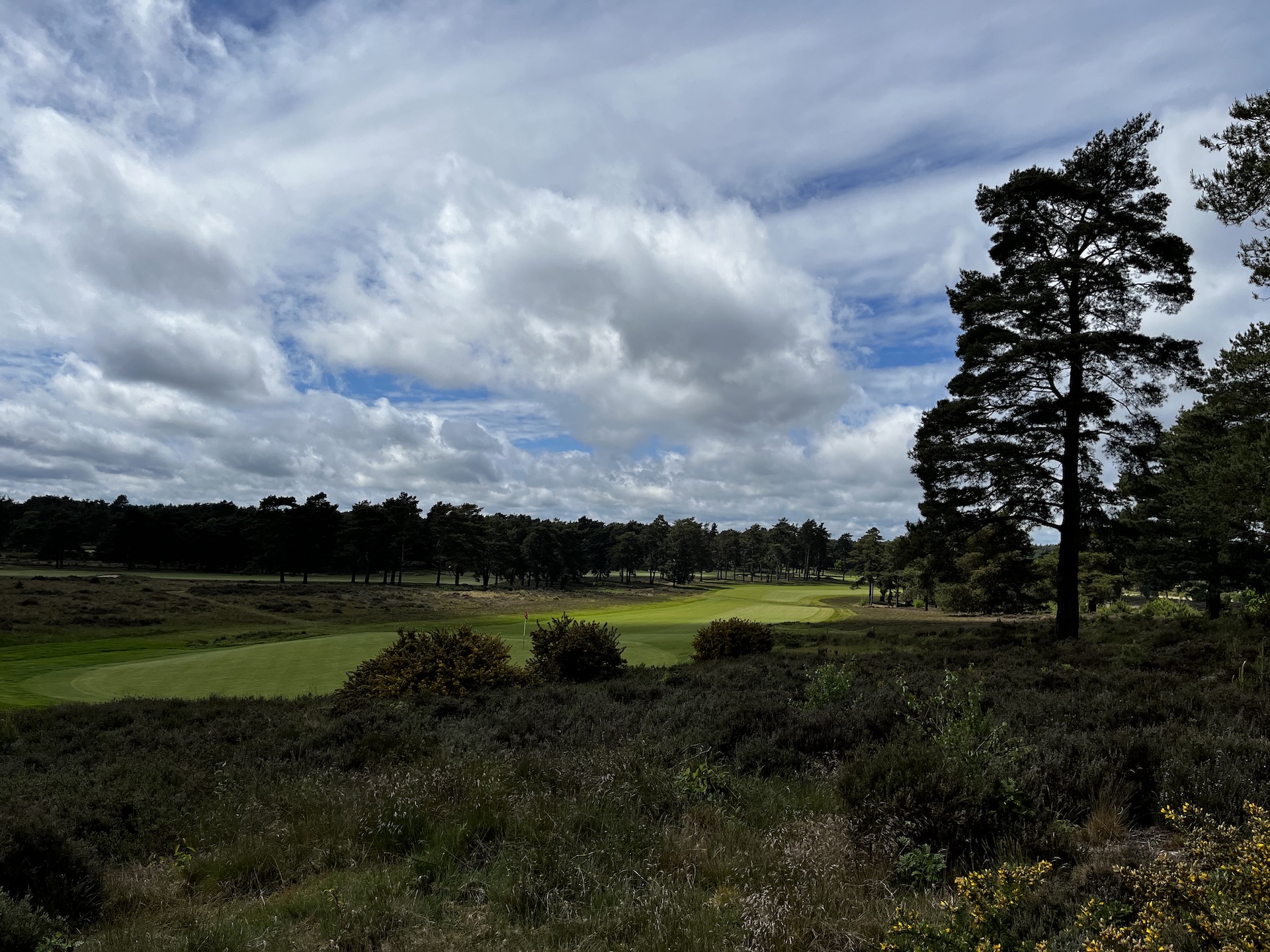 hankley common 0043