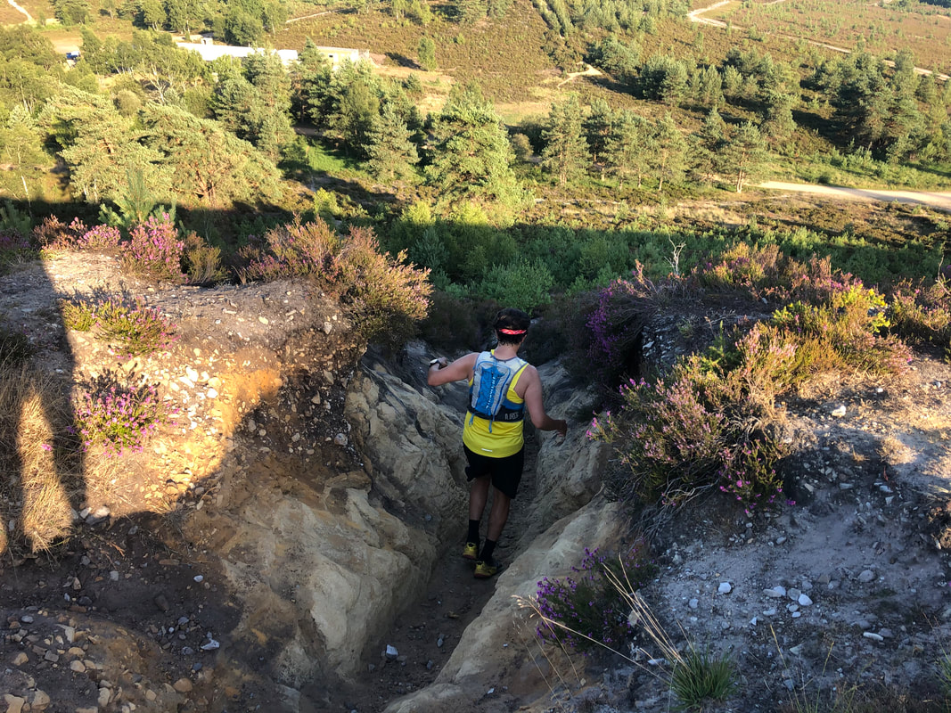 hankley common 0044
