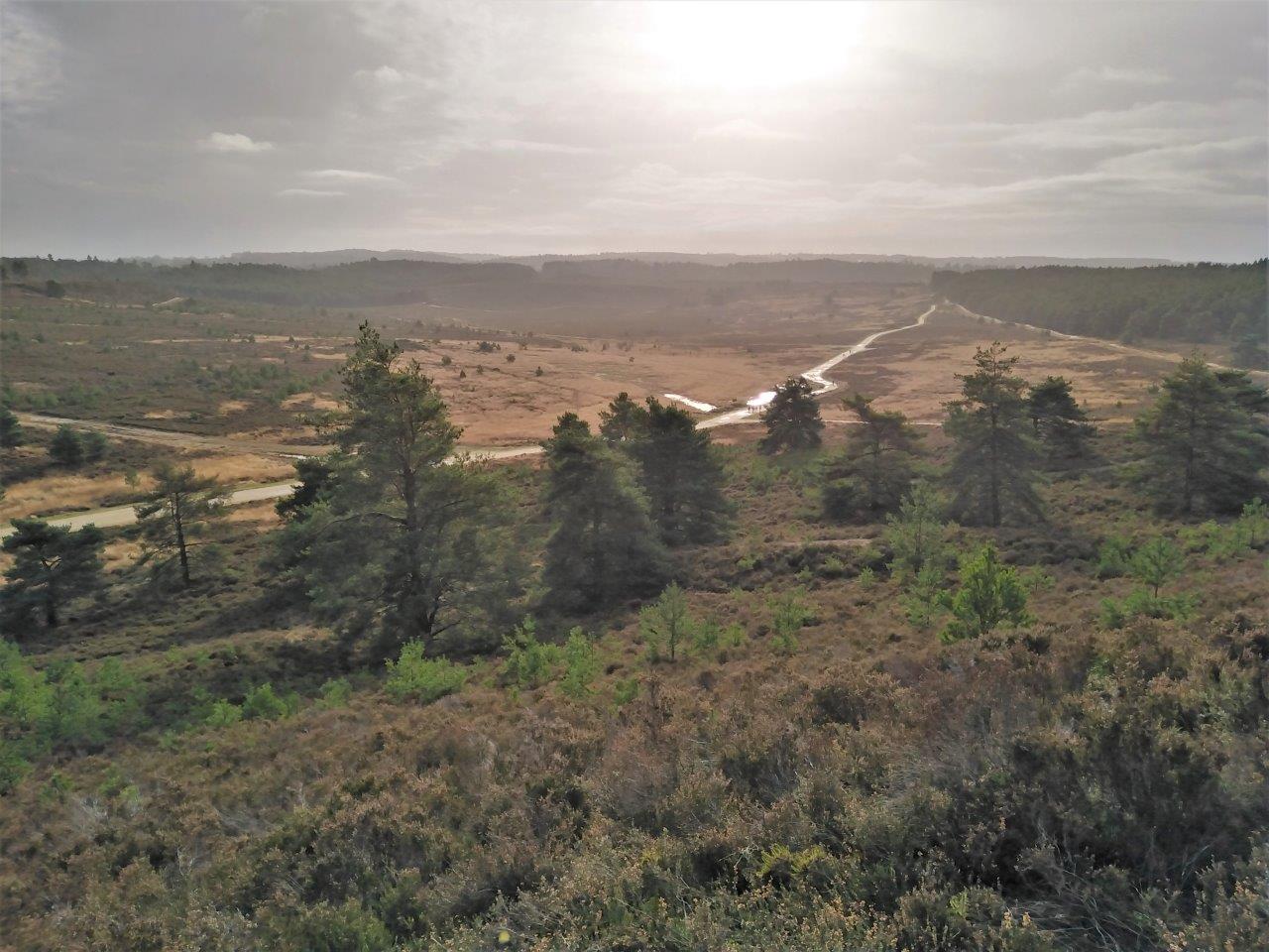 hankley common 0045