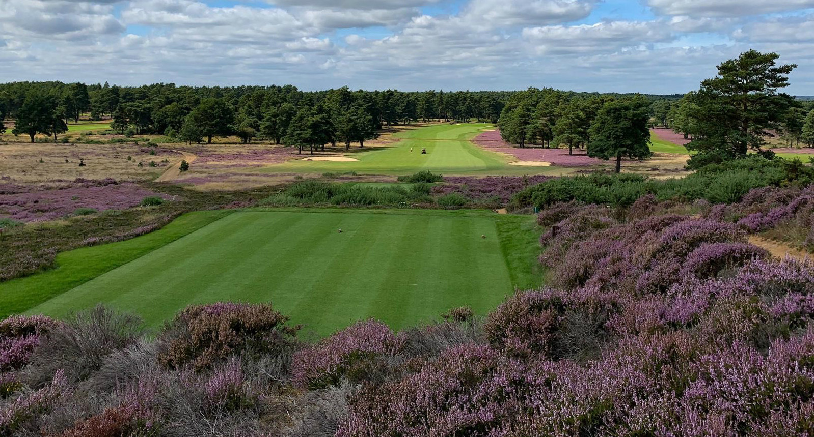hankley common 0046