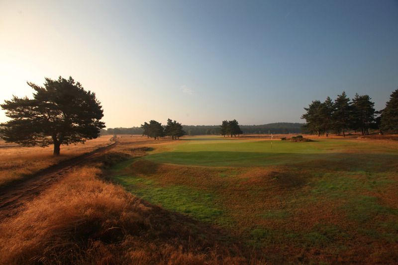 hankley common 0049