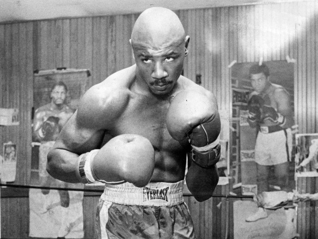 hardest hitters in boxing