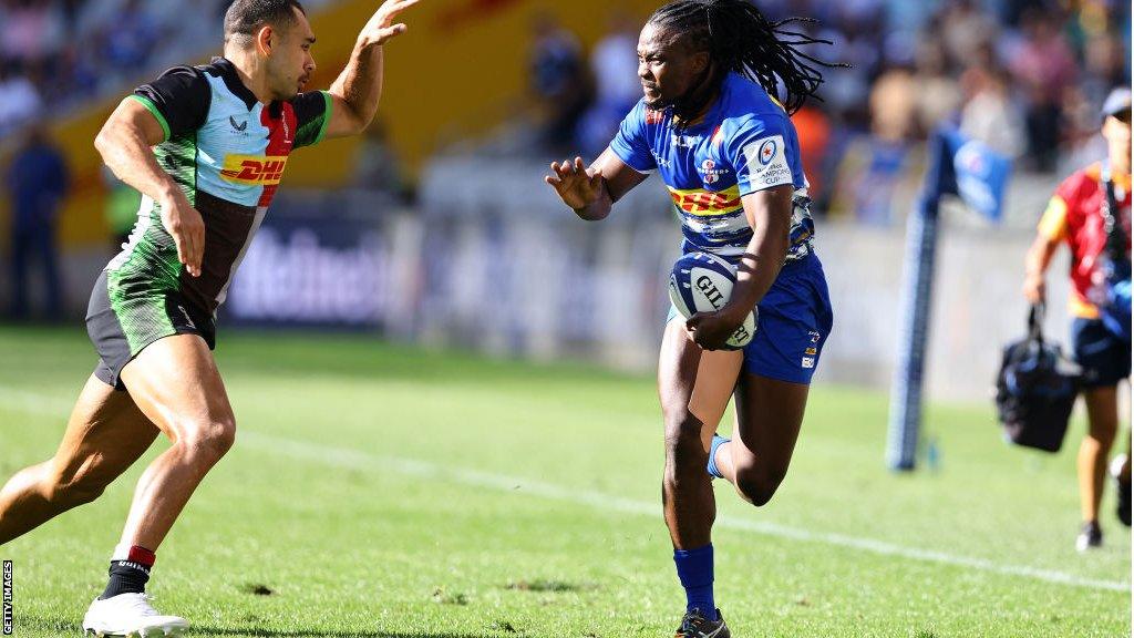 Harlequins fan reactions