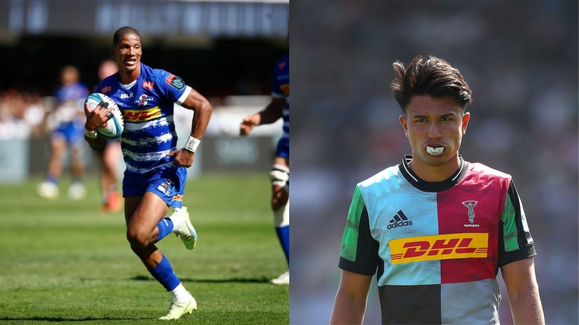 Harlequins player profiles
