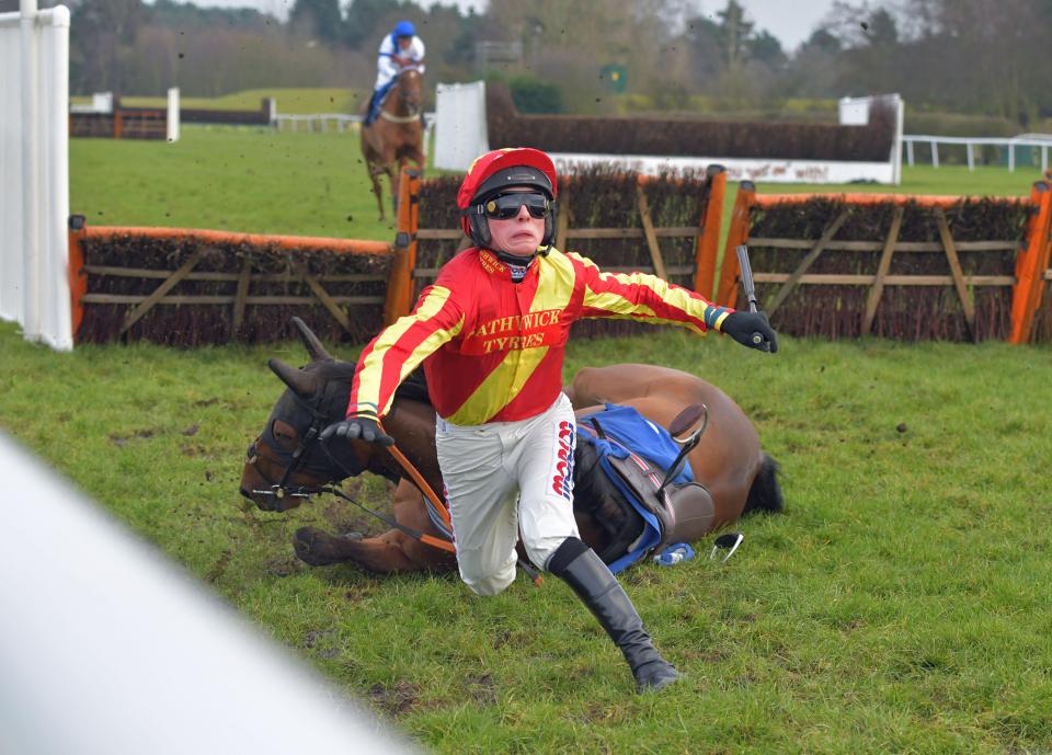 harry cobden 0023