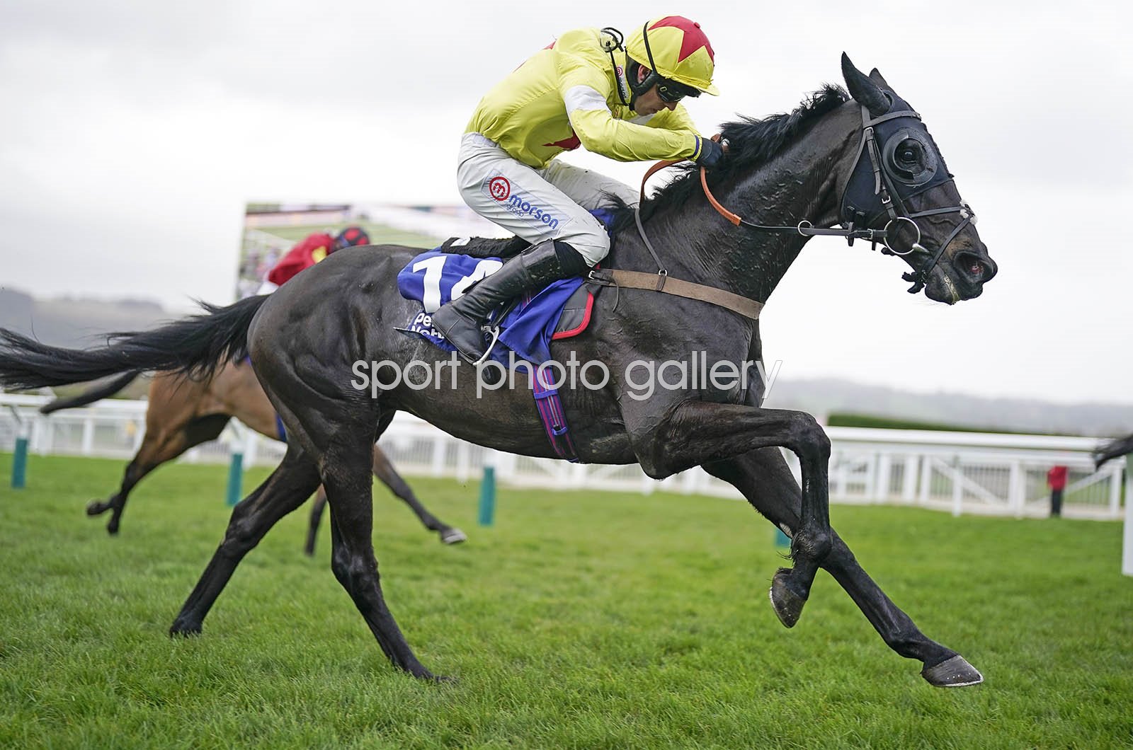 harry cobden 0028