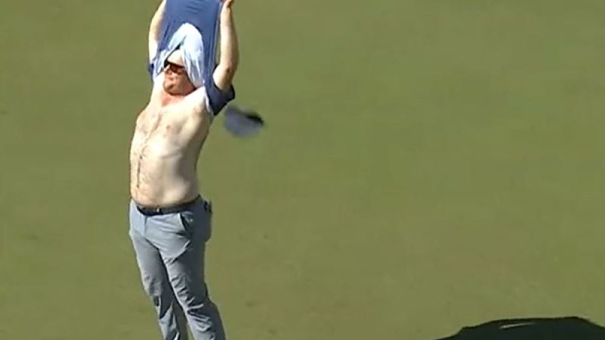 Harry Higgs abs