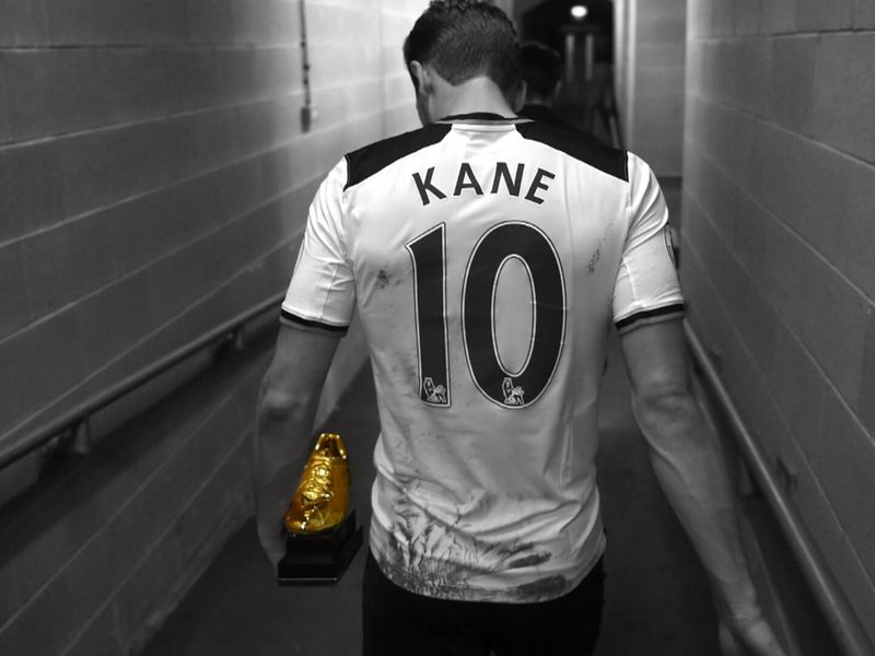 harry kane pfp 0011