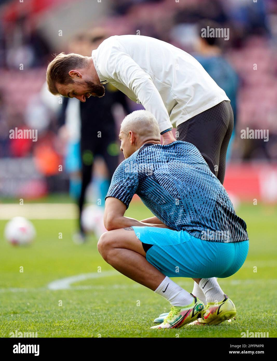 harry kane pfp 0013