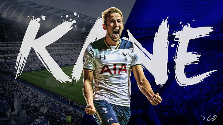 harry kane pfp 0021