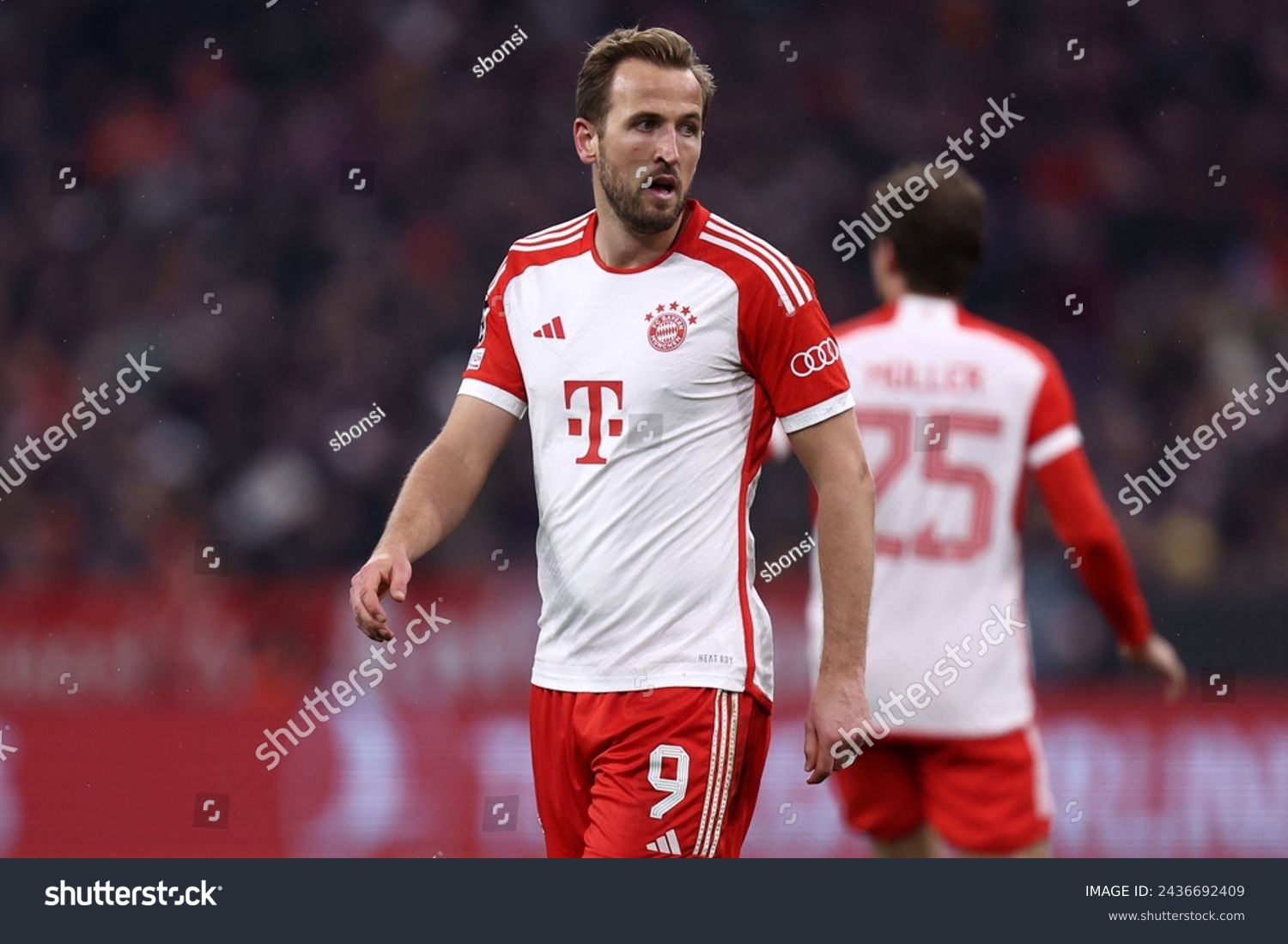 harry kane pfp 0032