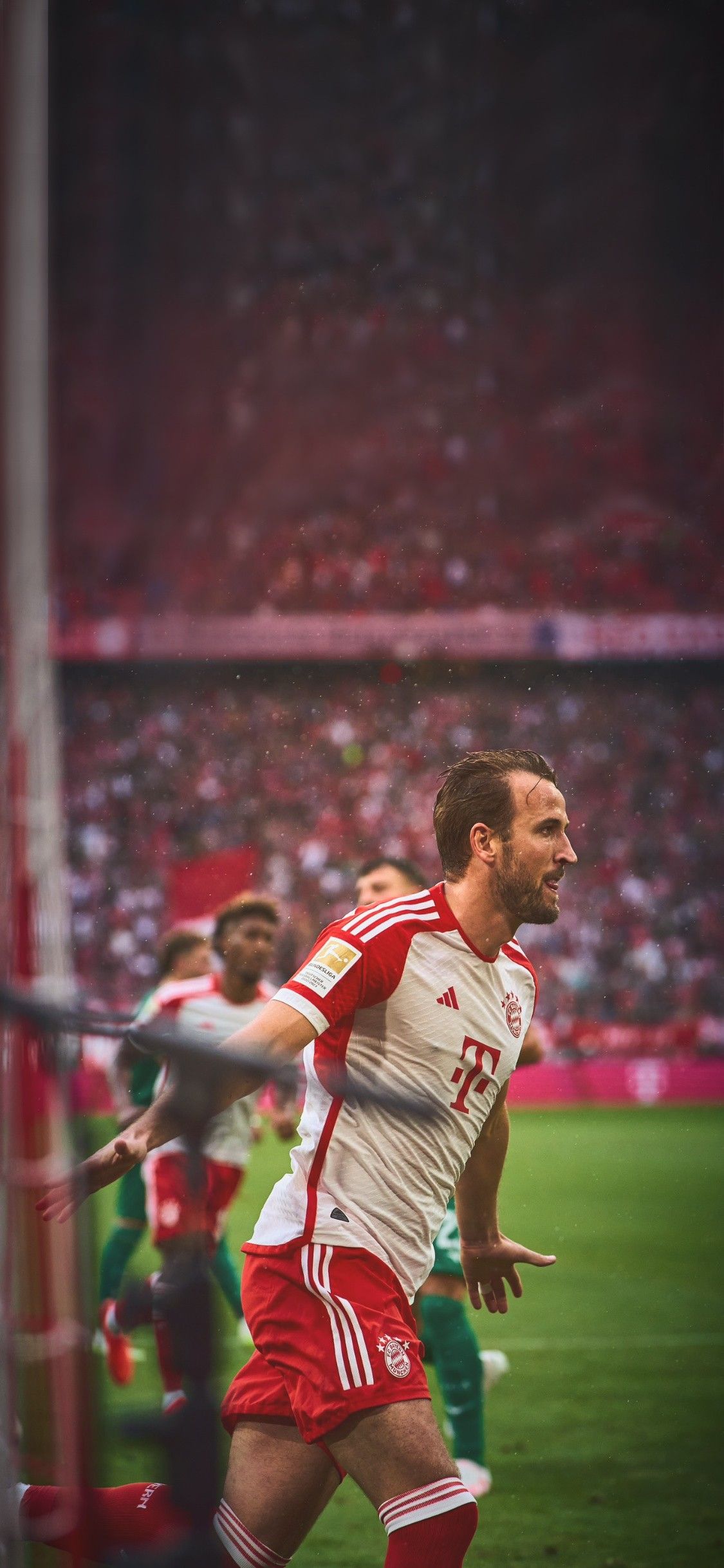 harry kane pfp 0040