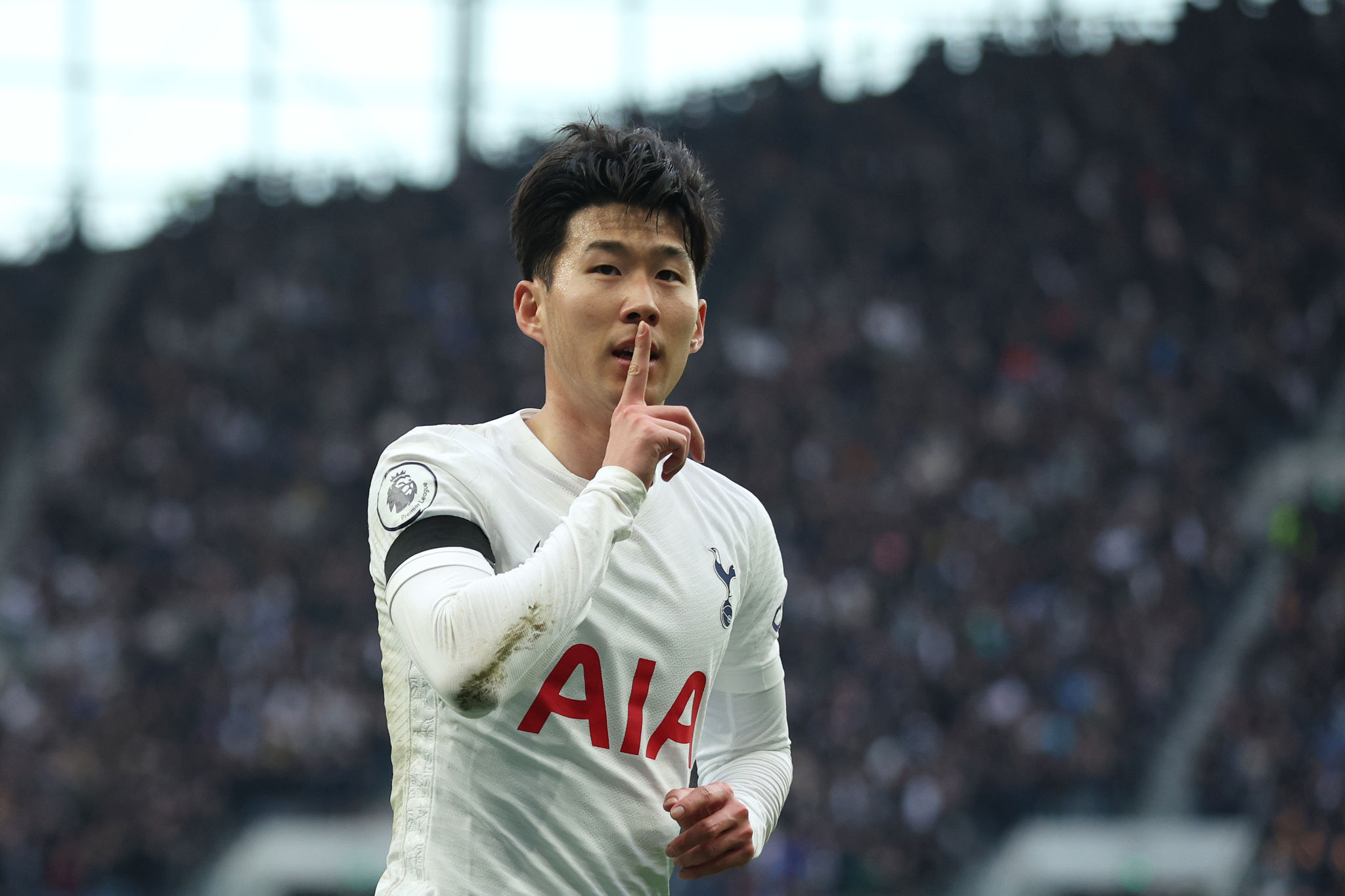 harry kane pfp 0056