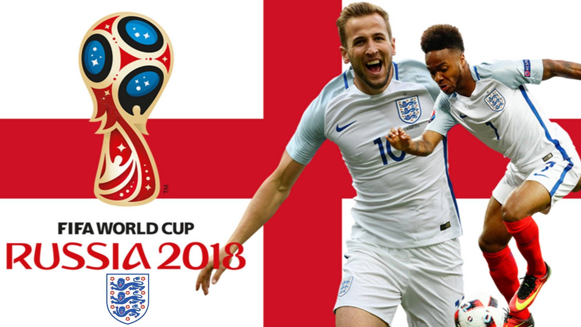 harry kane pfp 0064