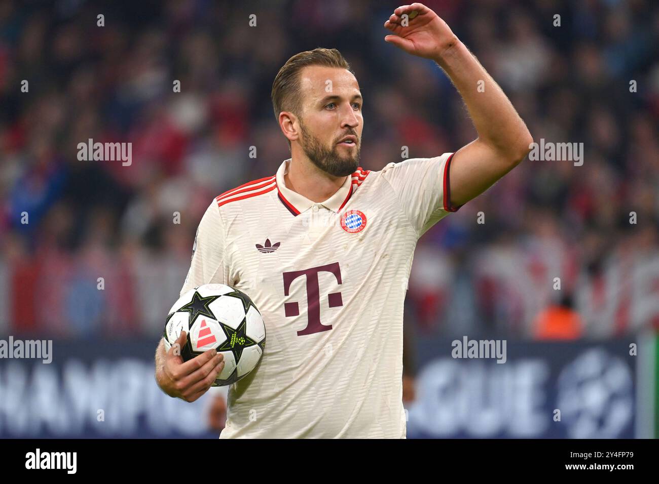 harry kane pfp 0069